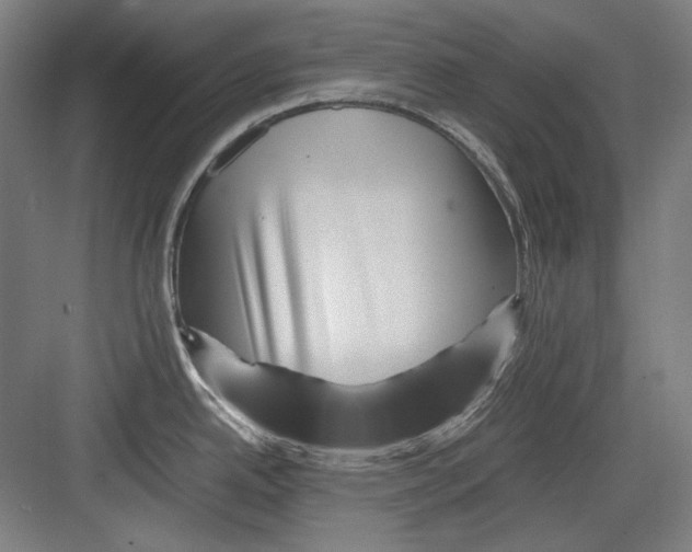 X0000082171342200702162251