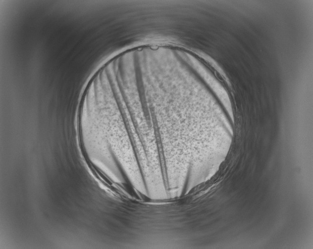 X0000082171343200702162251