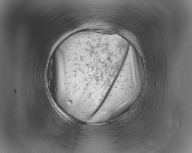 X0000082171344200702162251