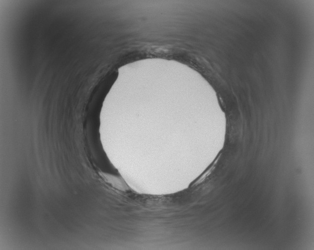 X0000082171345200702162250