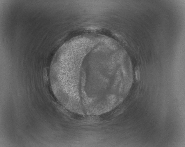 X0000082171347200702162250