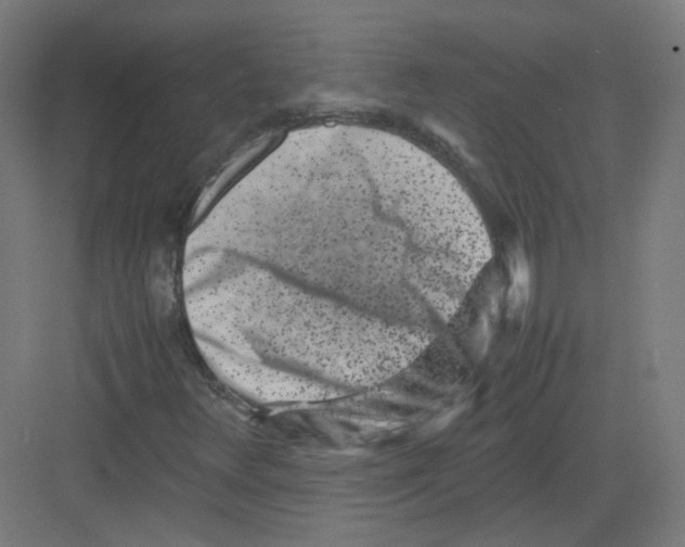 X0000082171348200702162250