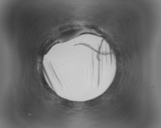 X0000082171349200702162250