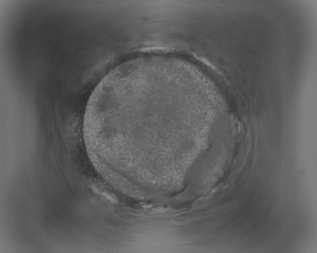 X0000082171351200702162250