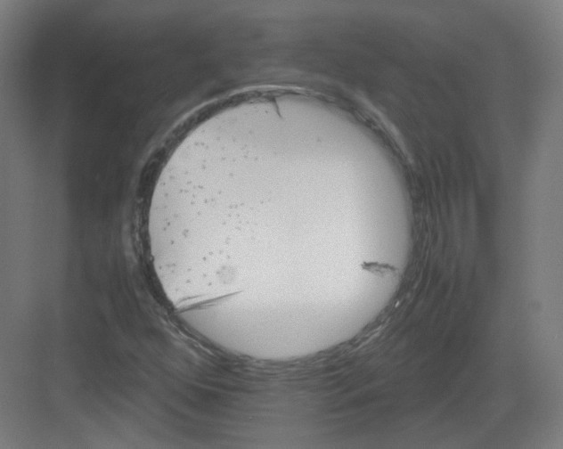 X0000082171352200702162250