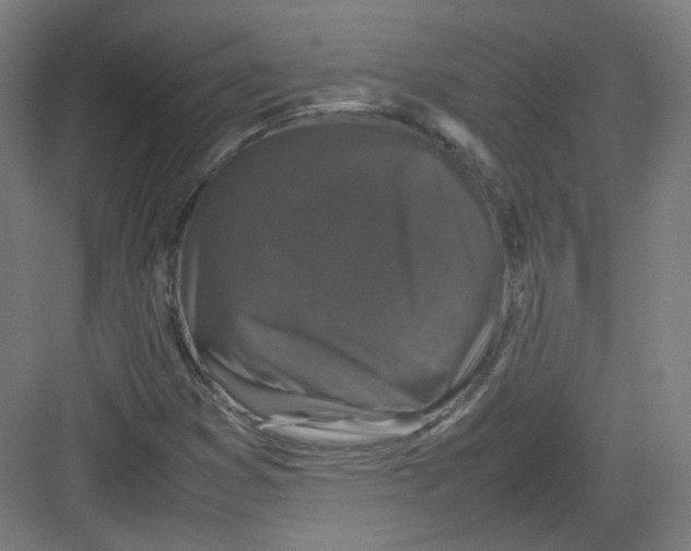 X0000082171353200702162250