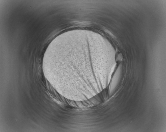 X0000082171354200702162250