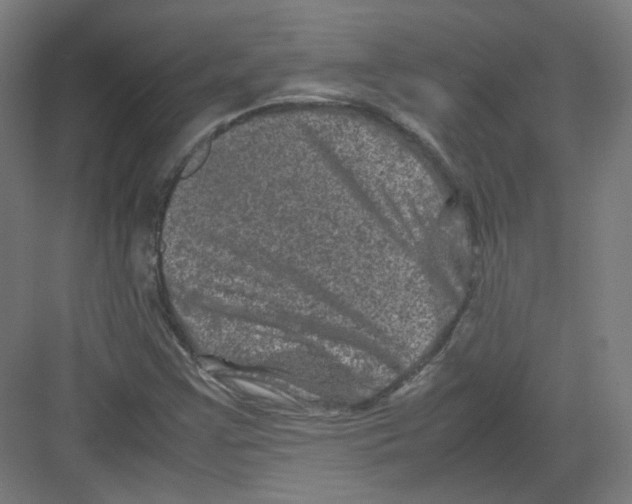 X0000082171355200702162250