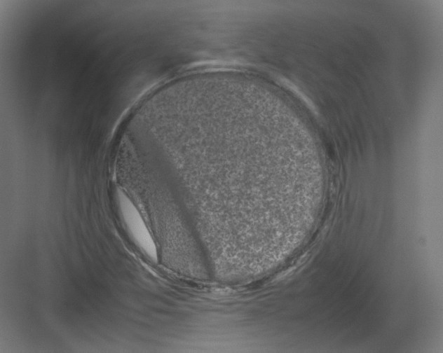 X0000082171357200702162250