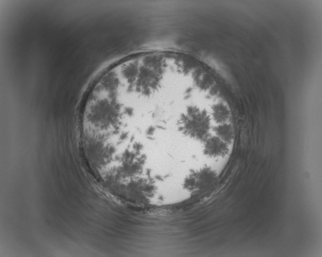X0000082171358200702162250