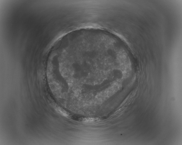 X0000082171359200702162250