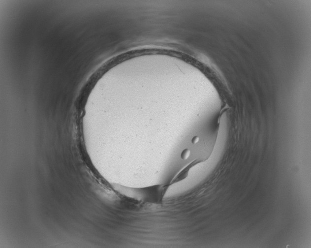 X0000082171360200702162250