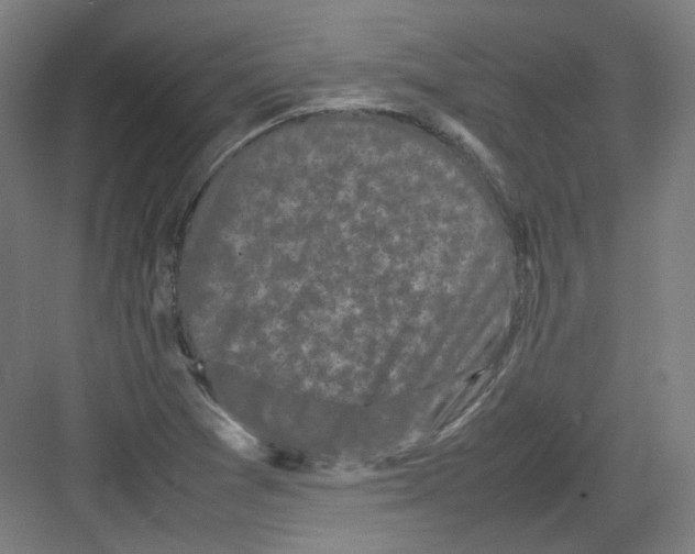 X0000082171361200702162250