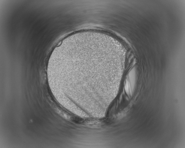 X0000082171363200702162250