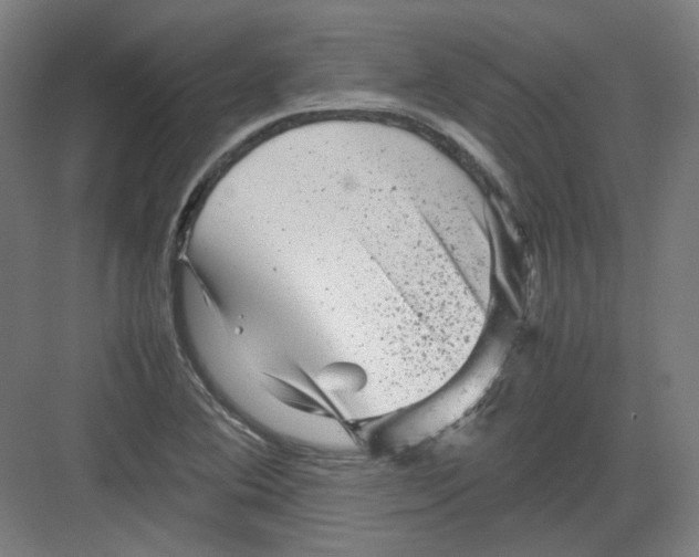 X0000082171364200702162250