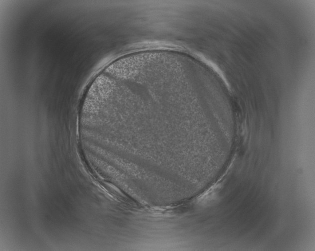 X0000082171365200702162250