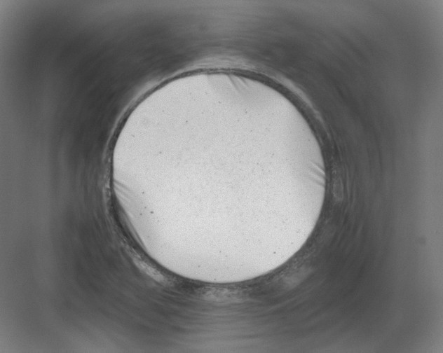 X0000082171366200702162250