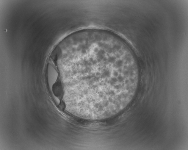 X0000082171367200702162250