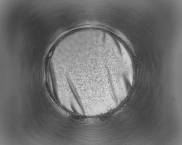 X0000082171368200702162250