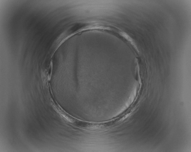 X0000082171369200702162250