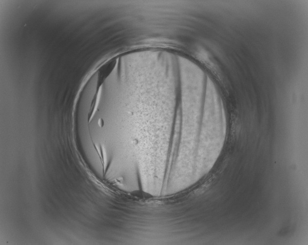 X0000082171370200702162250