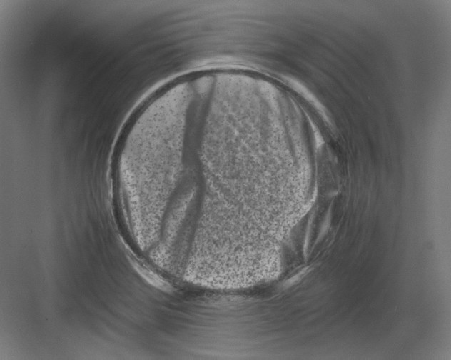 X0000082171372200702162250