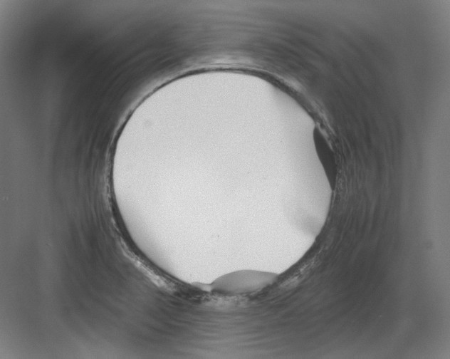 X0000082171374200702162250