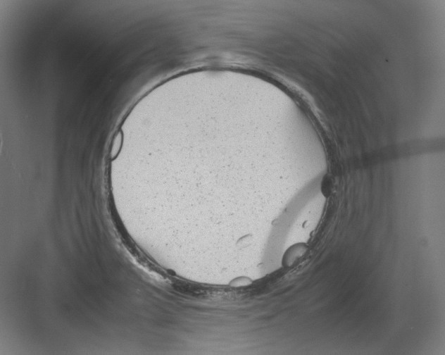 X0000082171375200702162250