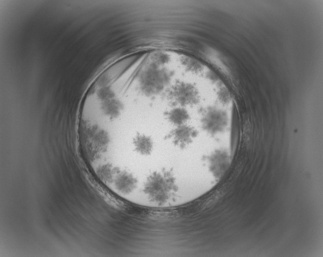 X0000082171378200702162250