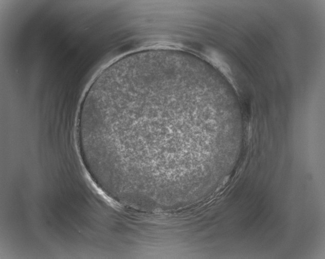 X0000082171379200702162250