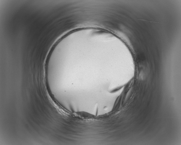 X0000082171380200702162250