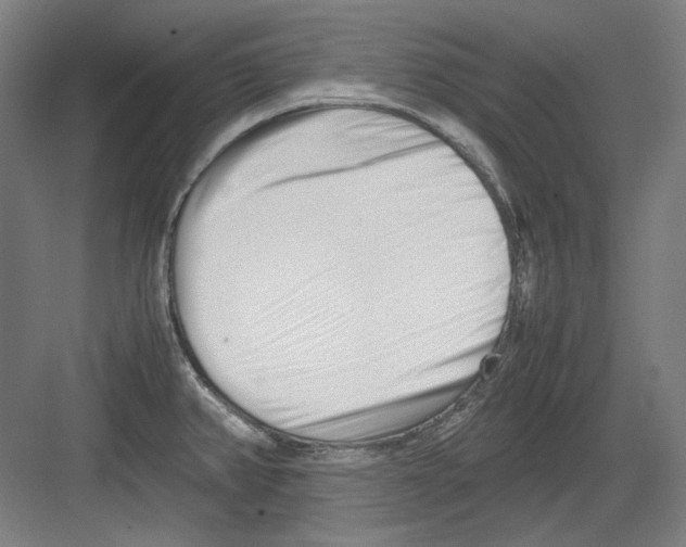 X0000082171382200702162250