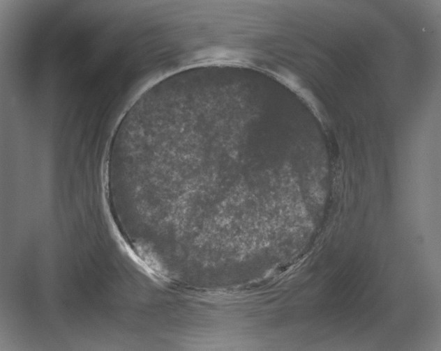 X0000082171383200702162250