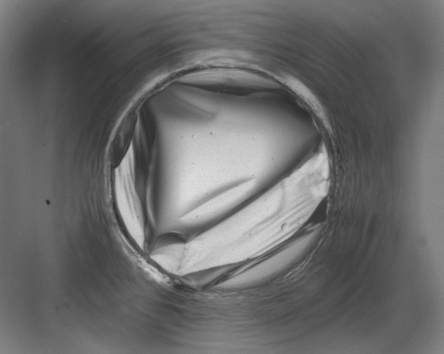 X0000082171384200702162250