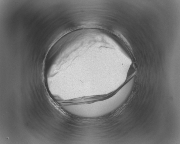 X0000082171386200702162249