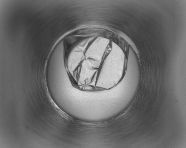 X0000082171388200702162249