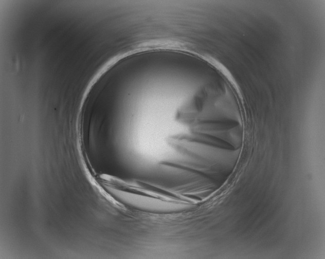 X0000082171389200702162249