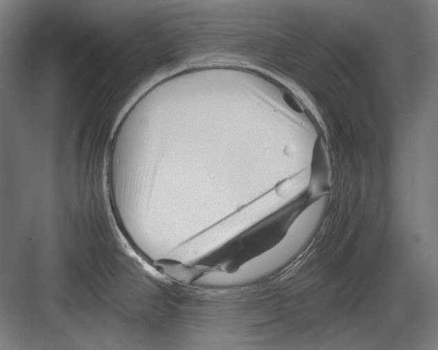 X0000082171390200702162249