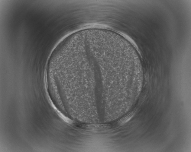 X0000082171391200702162249