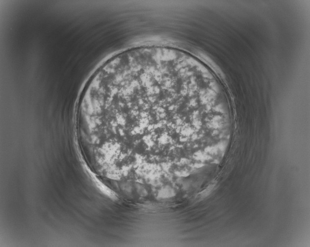 X0000082171392200702162249