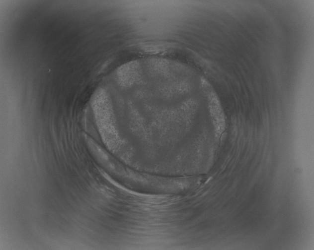 X0000082171394200702162249