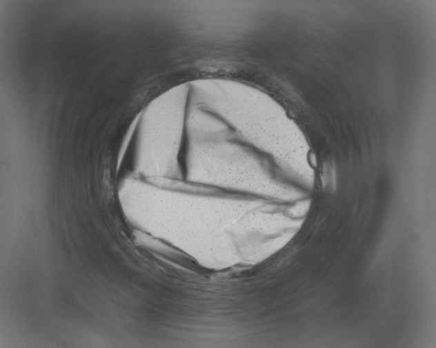 X0000082171396200702162249