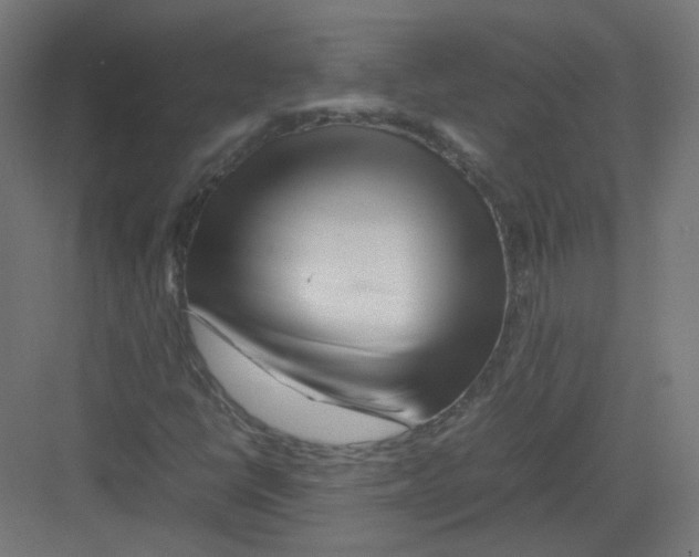 X0000082171398200702162249