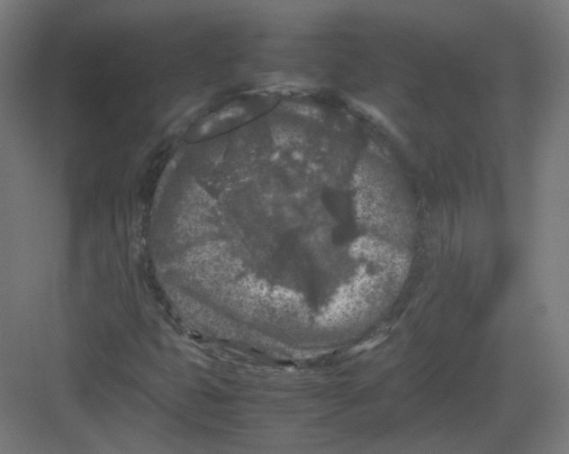 X0000082171399200702162249