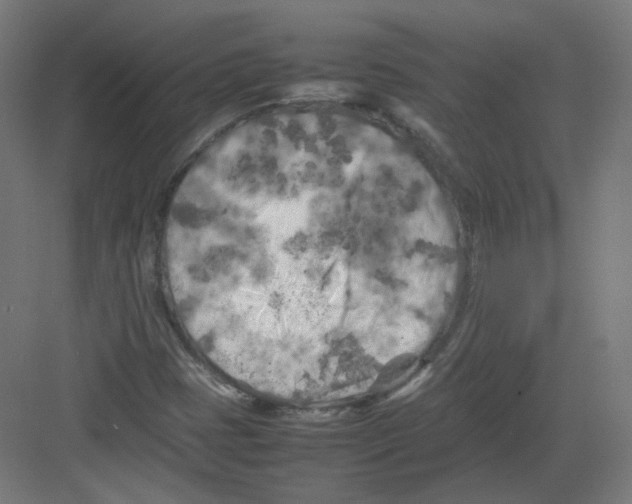 X0000082171401200702162249