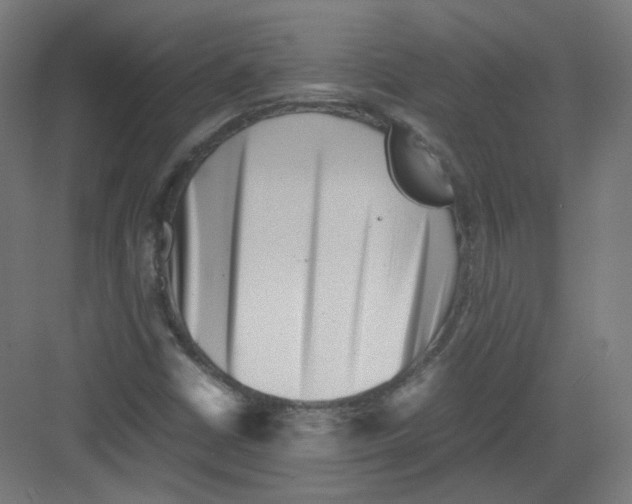 X0000082171402200702162249