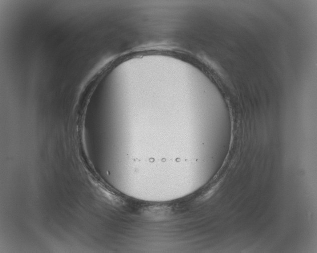 X0000082171406200702162249