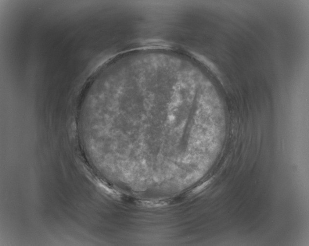 X0000082171407200702162249