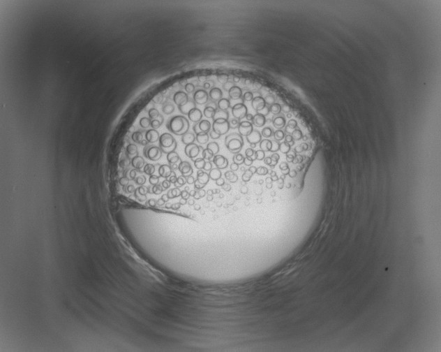 X0000082171408200702162249