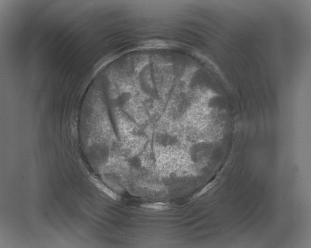 X0000082171409200702162249